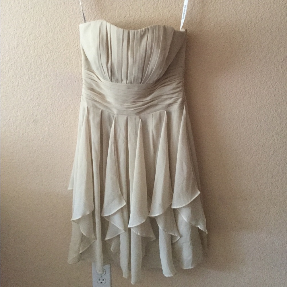 David’s Bridal Brides Maid Dress